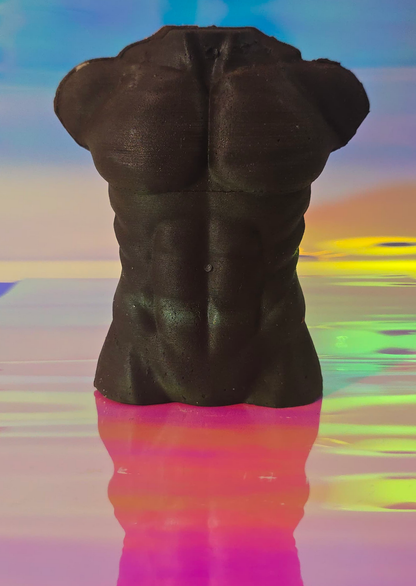 LE BAD BOY REHABILITE