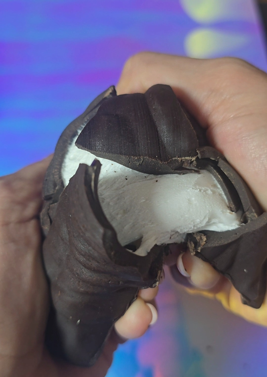 LE BAD BOY REHABILITE